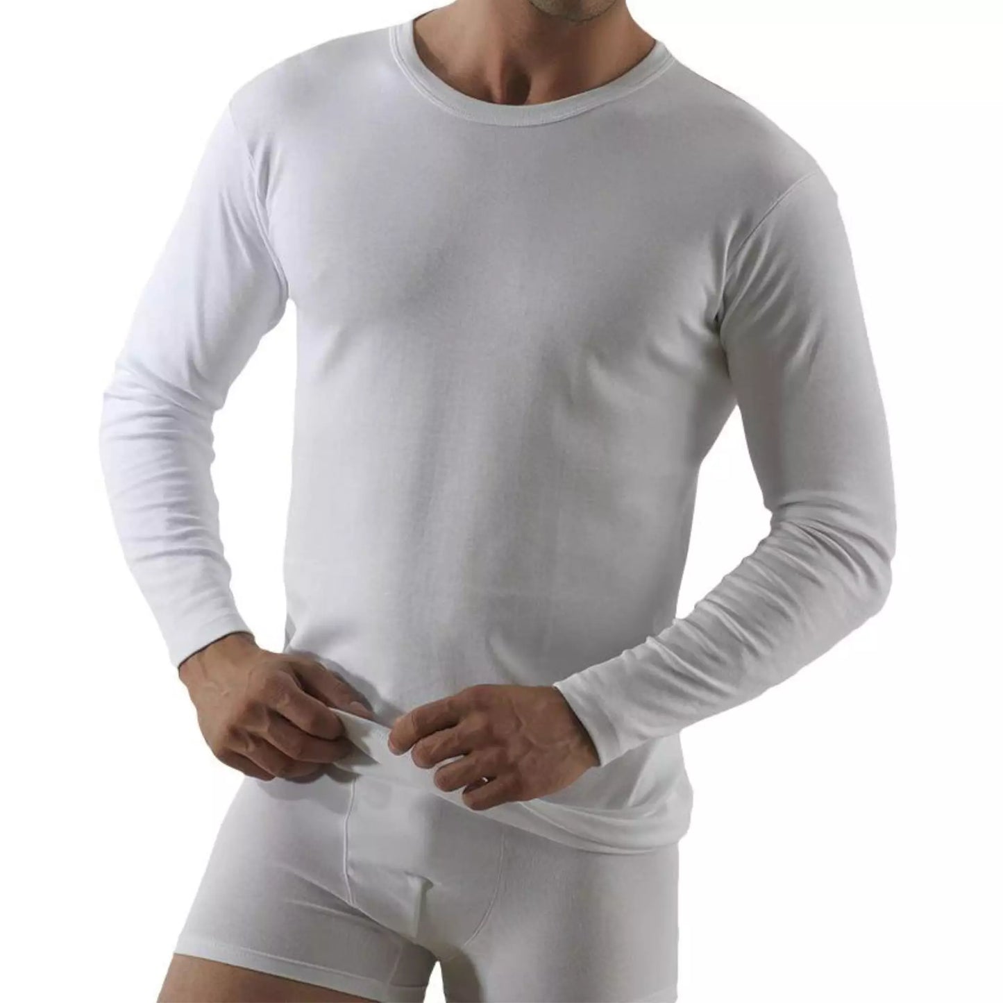 Maglia uomo Rossoporpora manica lunga girocollo cotone caldo 9031